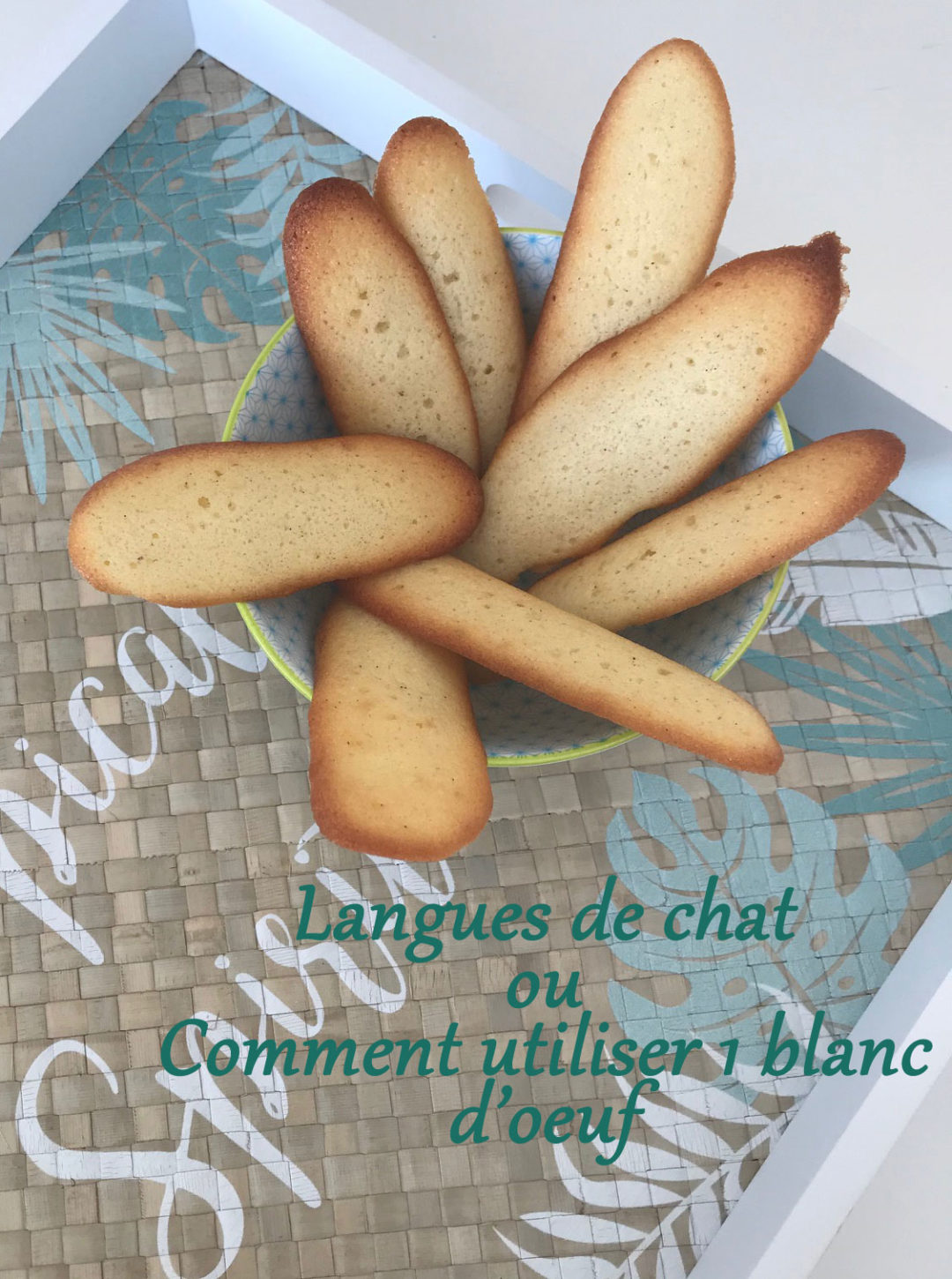 Langues de chat pour utiliser 1 blanc d'oeuf – Je suis gourmande … Mais je  me soigne !